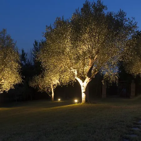 Konukevi Casale Degli Ulivi Rapolano Terme