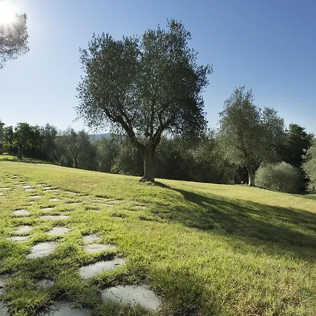 Casale Degli Ulivi
