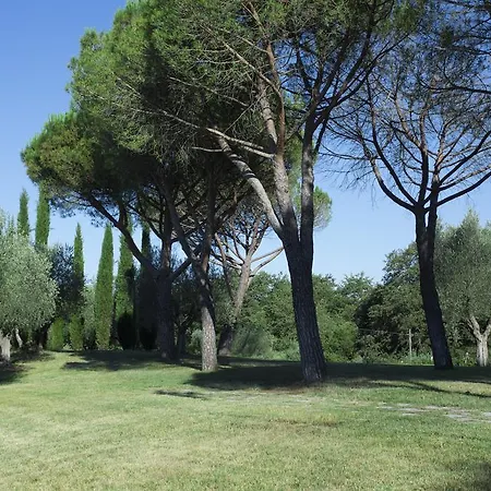 Casale Degli Ulivi Konukevi 3*