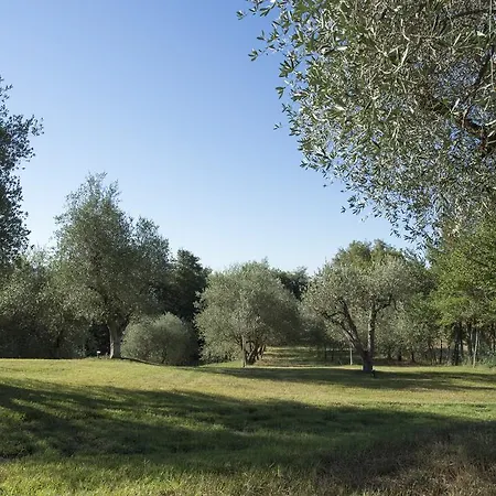 Konukevi Casale Degli Ulivi 3*
