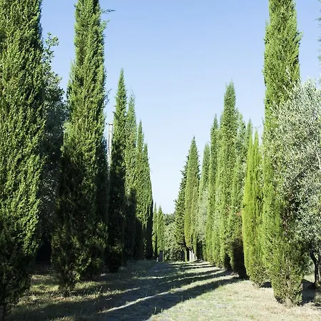 Casale Degli Ulivi Rapolano Terme